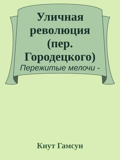 Уличная революция — обложка книги