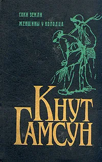 Женщины у колодца — обложка книги