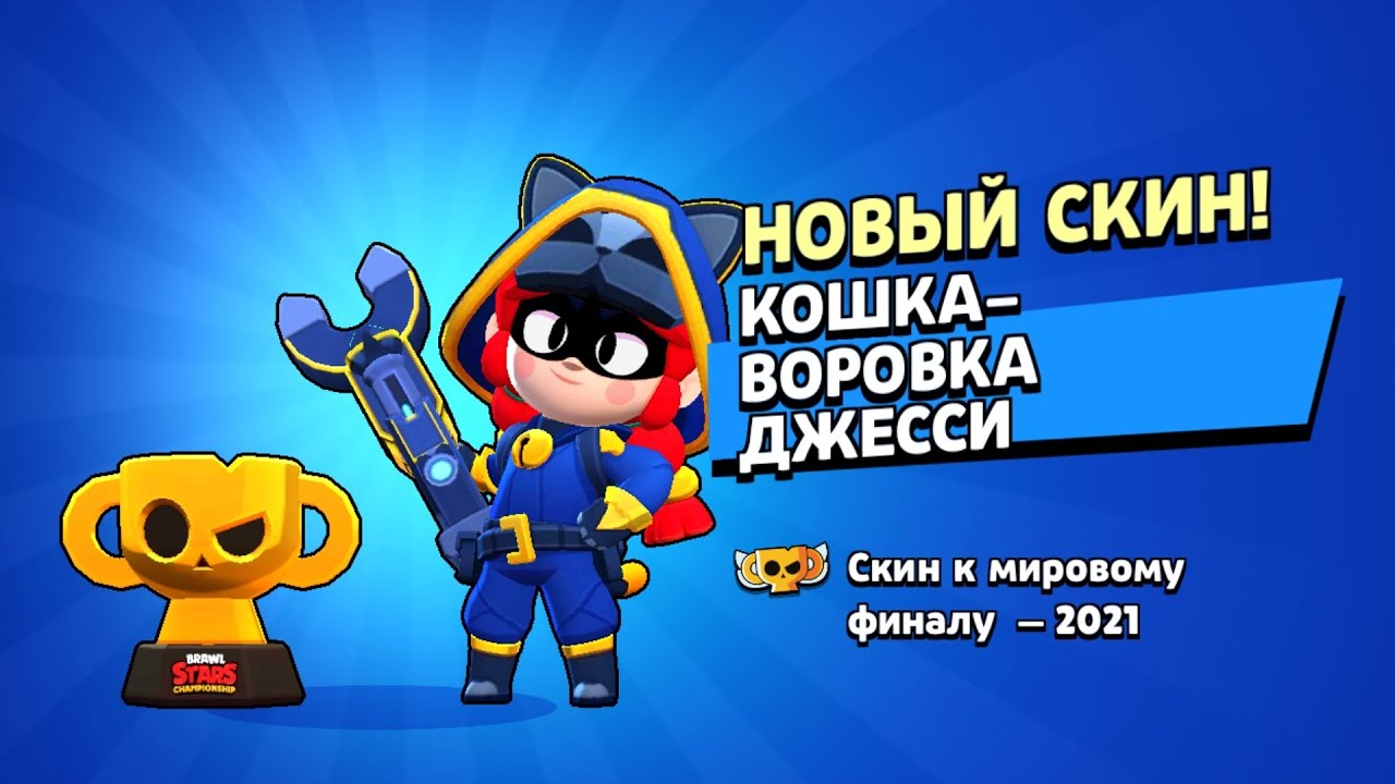 💥Кошка воровка Джесси