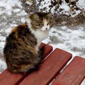 Татьяна Ратникова