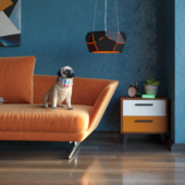 Оксана Усцова