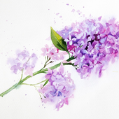 Светлана Мелихова