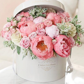 Елена Герасюта