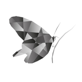 Асаль Юсупходжаева