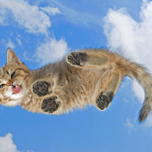 Екатерина Давыдова