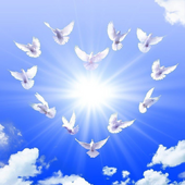 Энергия Любви