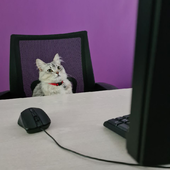 Евгений Бон