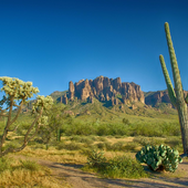 Дмитрий Дубинин