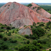 Роман Мельник