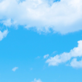 Любовь Стрелкова