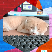 Игорь Ярощук