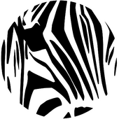 _zebra _ studio_