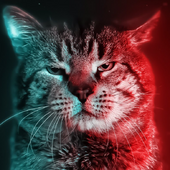 Артем Бренер