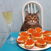 Илья Мазунин