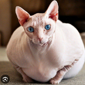 Максим Смирнов