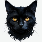 Айрат Мингазов