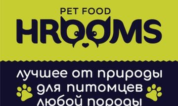 Слоган