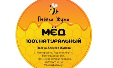 Полиграфия