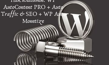 Установка Пак плагинов: WP AutoContent PRO + Auto Traffic & SEO + WP Auto Monetize. Бонус!