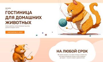 Разработка сайта