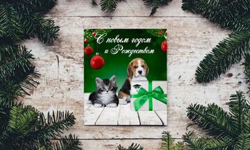 Полиграфия