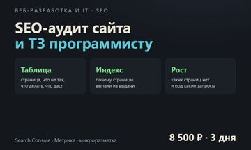 SEO-аудит сайта с готовым техническим заданием программисту