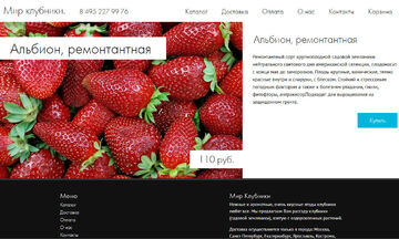 Описание товаров, заполнение каталога