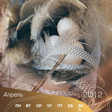 Календарь перекидной 240x340