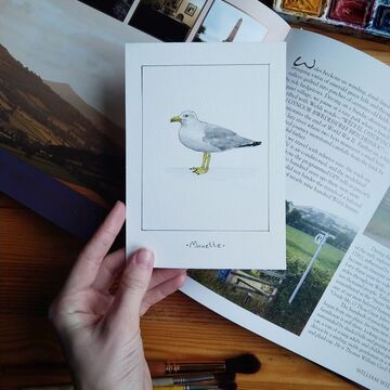 Чайка. La mouette