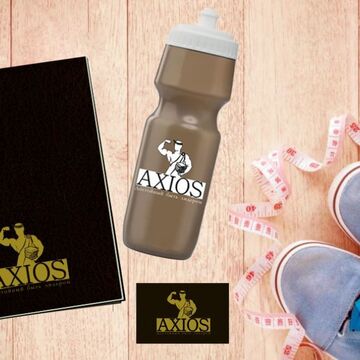 брендбук AXIOS