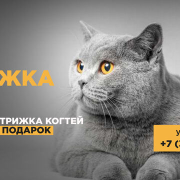 рекламный баннер