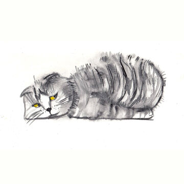 Акварельный котик