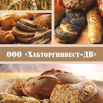 Дизайн обложки ООО Хабторгинвест-ДВ (реализована)