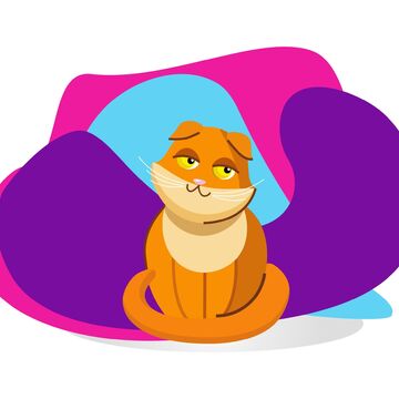 Кот муркот