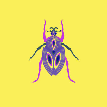 жук