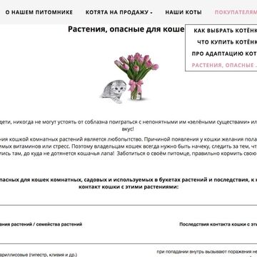 Сайт http://silversharm.ru/