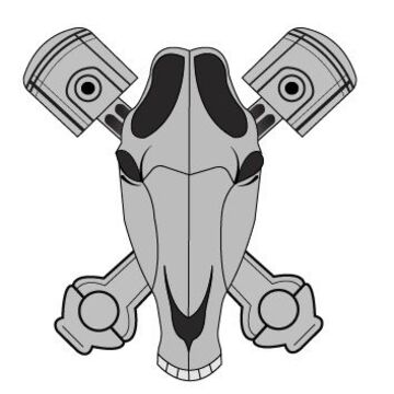 Horse''s skull