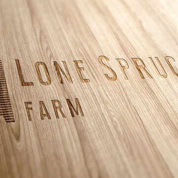 Lone Spruce 2