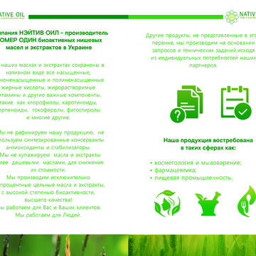 Презентация бренда "Native Oil"