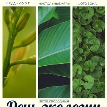 Афиша мероприятия, посвещённое дню экологии