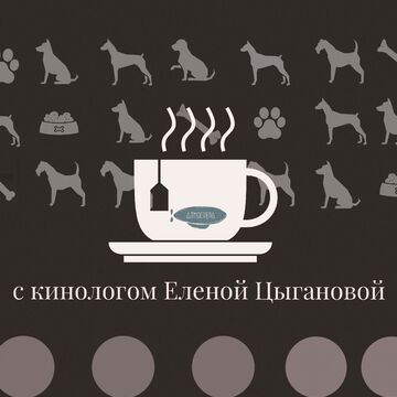Афиша для мероприятия &laquo;Встреча с кинологом&raquo;