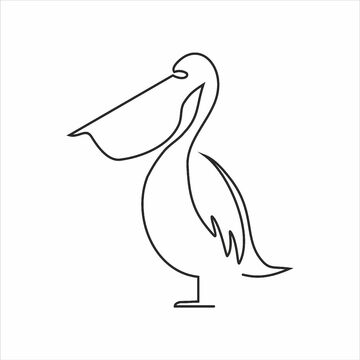 Пеликан