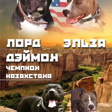 Дизайн афиши для инсты