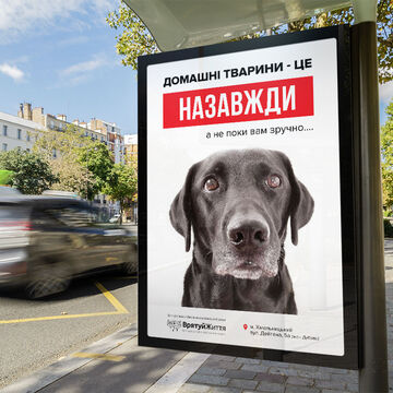 Дизайн постера
