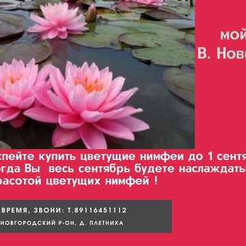 моя работа