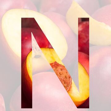 36 days of type