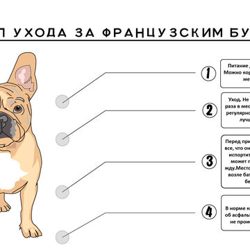 Инфографика
