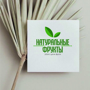 Разработка логотипа