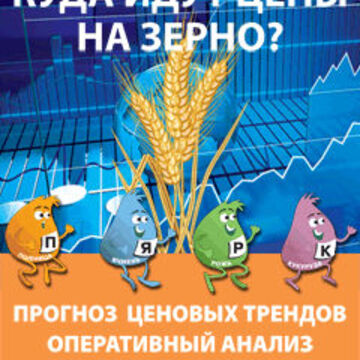 Флеш баннер