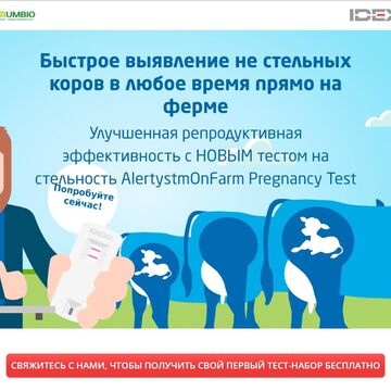 Лендинг